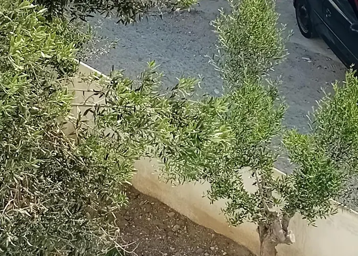 Spiretas 2 Apartment *